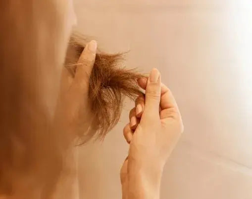 Best Frizz Treatment