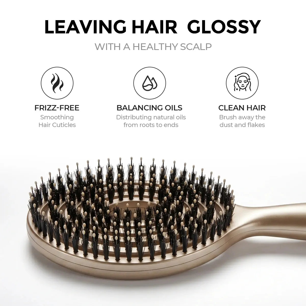 Features of TYMO RootLift Brush leaving hair glossy: Frizz-Free (smoothing cuticles), Balancing Oils (roots to ends distribution), Clean Hair (dust and flakes removal)